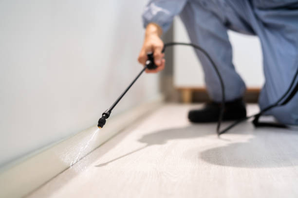 Rodent Entry Point Assessment in Johnstown