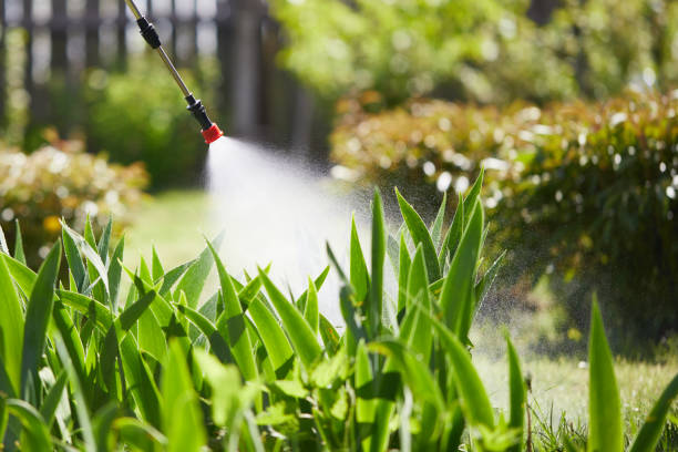 Tamper-Resistant Bait Stations for Rodents in Johnstown