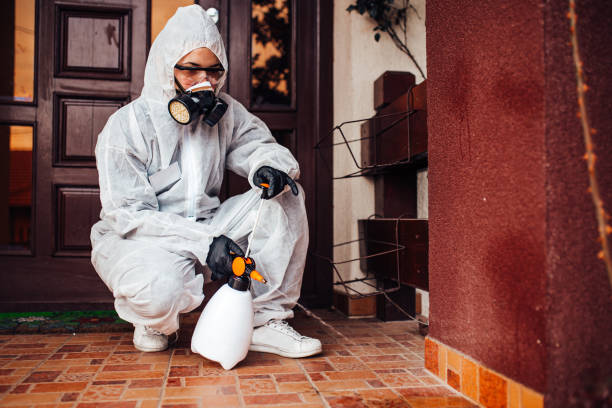 Attic and Crawl Space Rodent Treatment in Johnstown