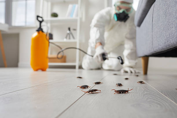 Commercial Rodent Management in Johnstown